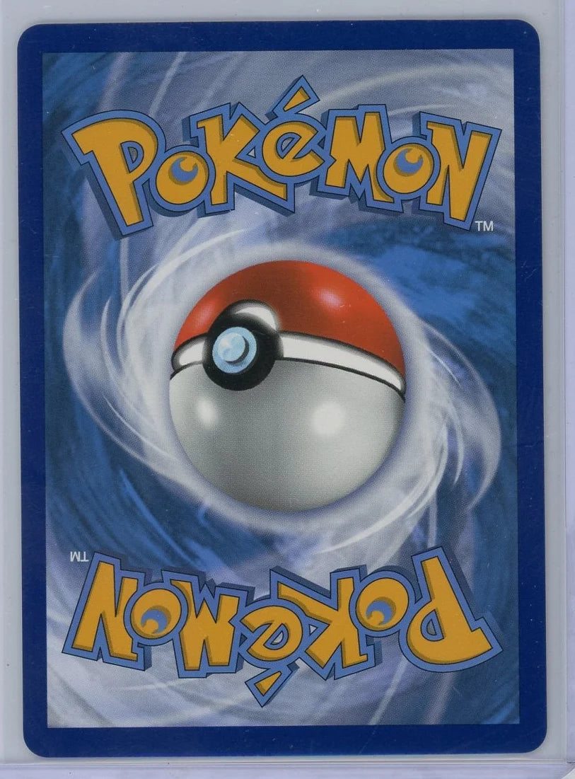 Raikou Pokémon Vivid Voltage Amazing Rare #050/185