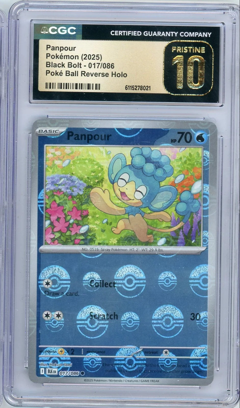 Panpour 2025 Pokemon Black Bolt Poke Ball reverse holo #017/086 CGC 10 Pristine