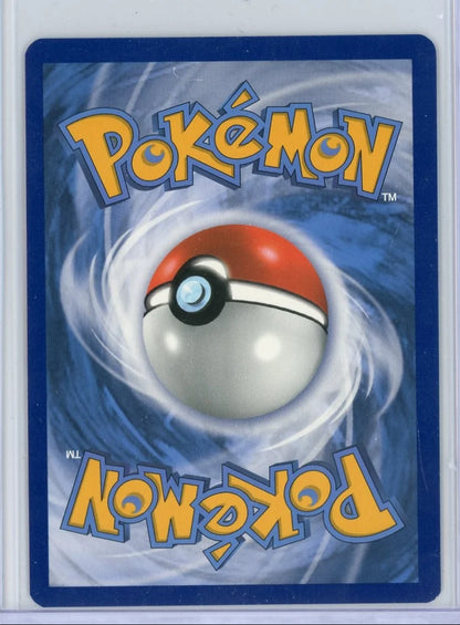 Rayquaza Vmax Pokémon Evolving Skies Ultra Rare #111/203