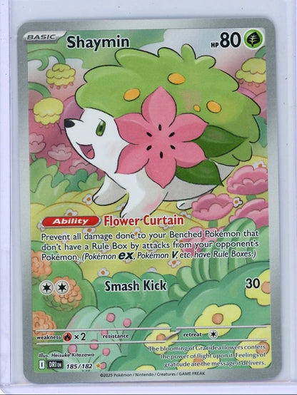 Shaymin 2025 Pokemon Destined Rivals Illustration rare #185/182