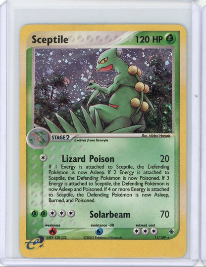 Sceptile Pokémon Ruby & Sapphire Holo #11/109 (DMG)