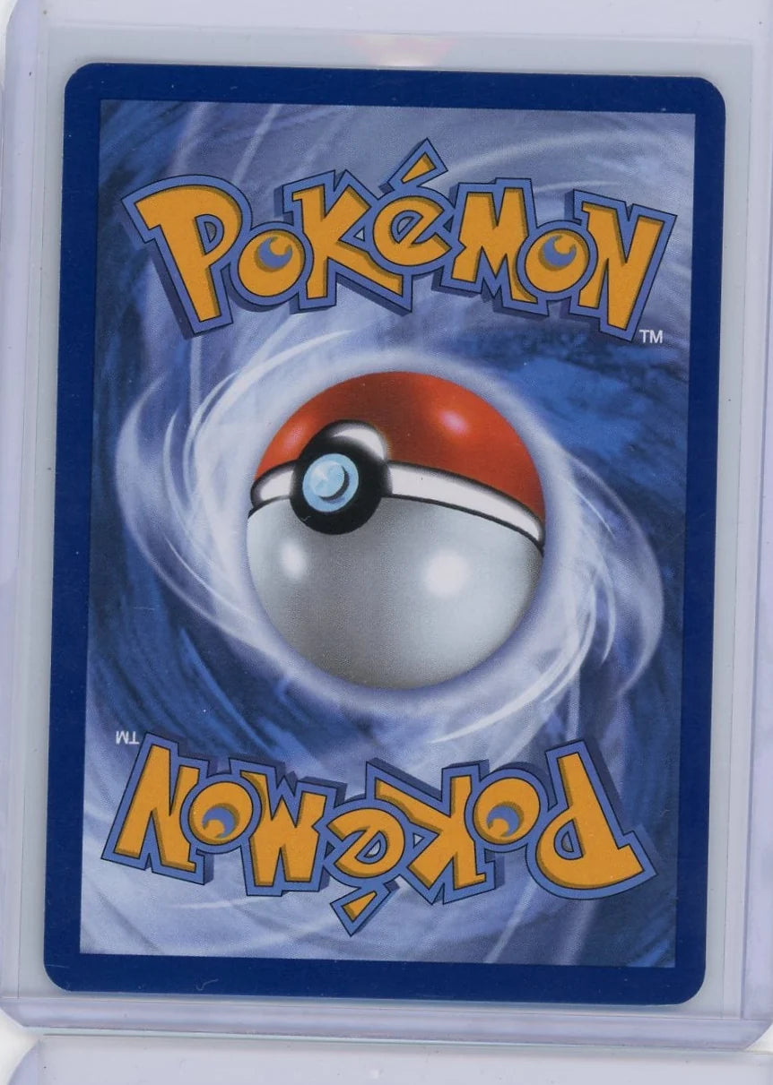 Riolu Pokémon Mega Evolution Black Star Promo #010