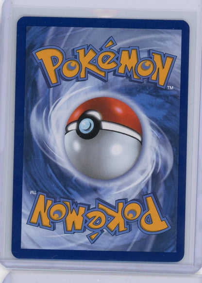 Riolu Pokémon Mega Evolution Black Star Promo #010