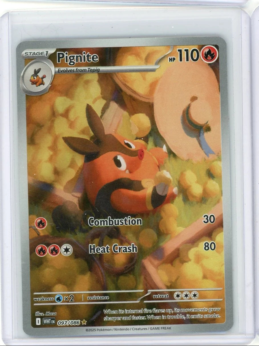 Pignite Pokémon White Flare Illustration Rare #097/086