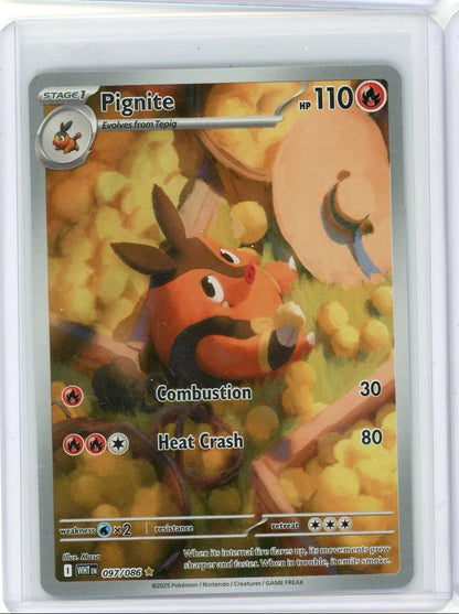 Pignite Pokémon White Flare Illustration Rare #097/086