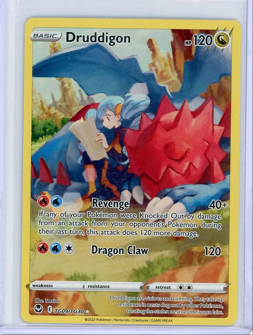 Druddigon 2022 Pokemon Trainer Gallery #TG09/TG30