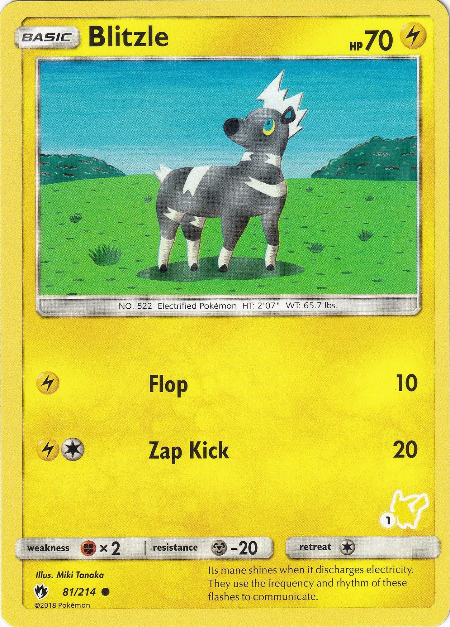 Blitzle - 81/214 (#1 Pikachu Stamped) (081/214) (Battle Academy) (BTA)