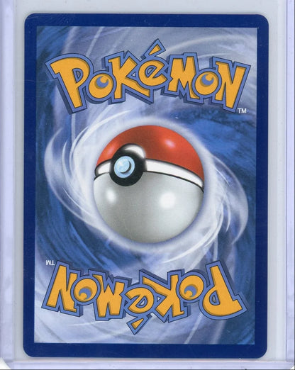 Mega Charizard x EX Pokémon Mega Evolution Black Star Promo #029