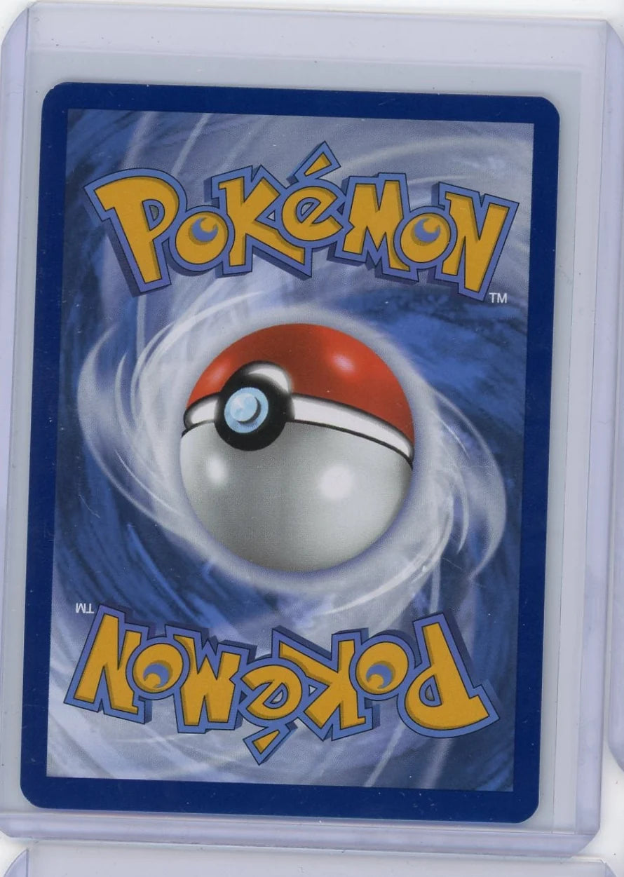 Eevee Pokémon Black Star Promo #173