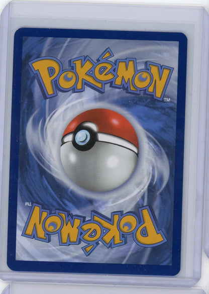 Eevee Pokémon Black Star Promo #173