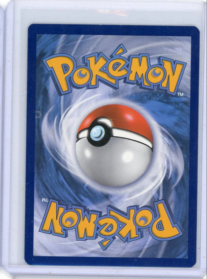Charizard V Pokémon Sword & Shield Black Star Promo #SWSH260