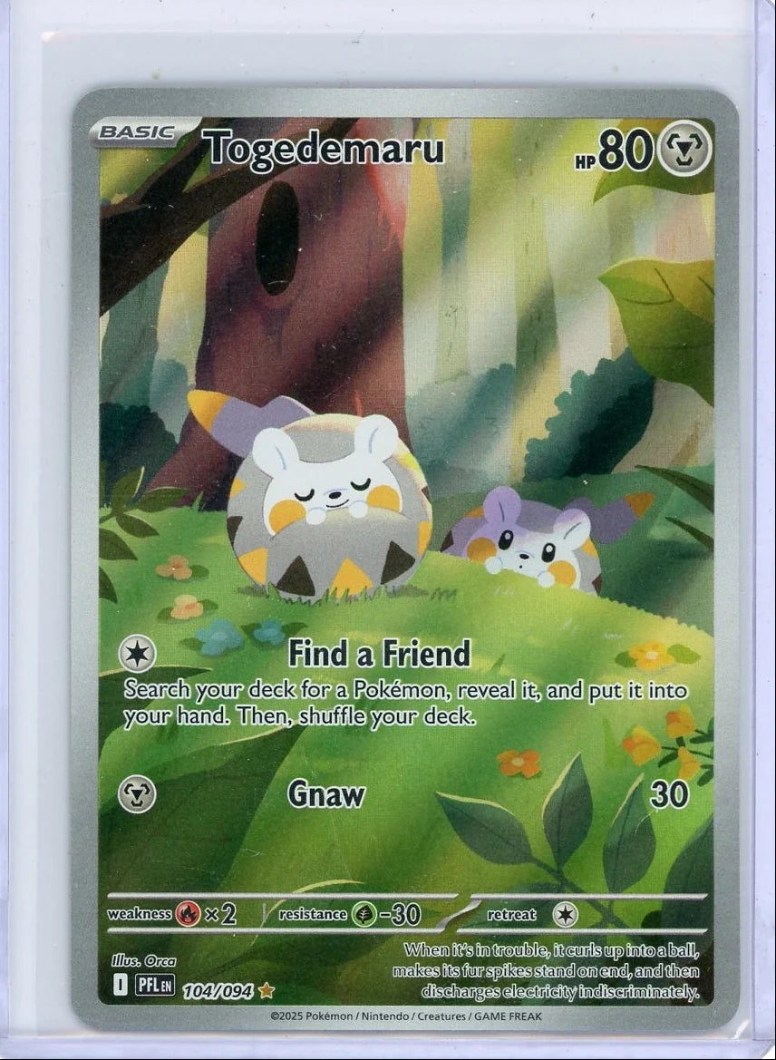 Togedemaru Pokémon Phantasmal Flames #104/094