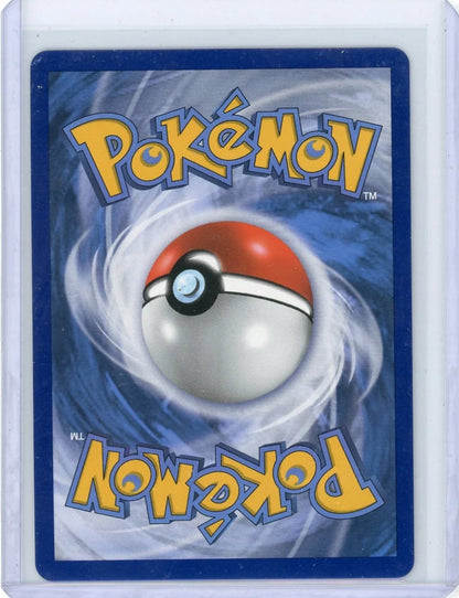 Raikou GX 2018 Pokemon Black Star Promo #SM121