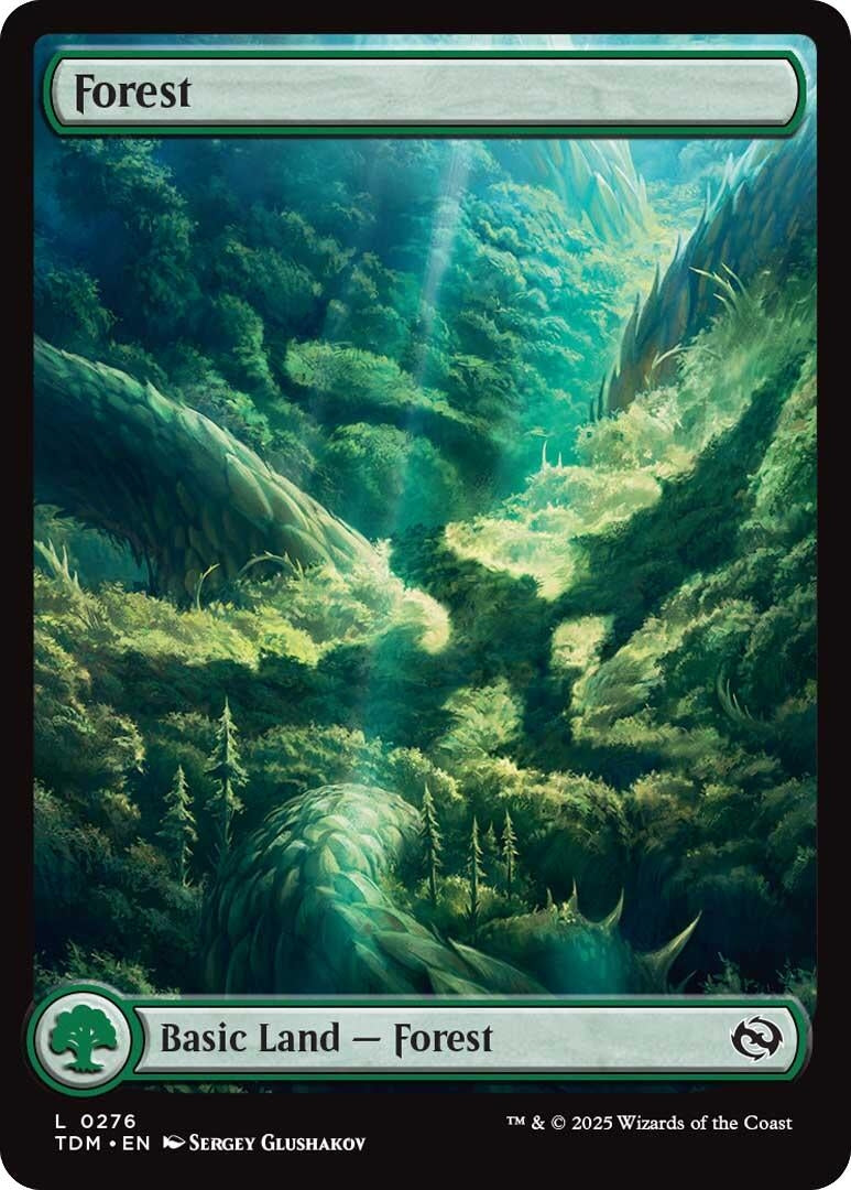 Forest (0276) (276) (Tarkir: Dragonstorm)