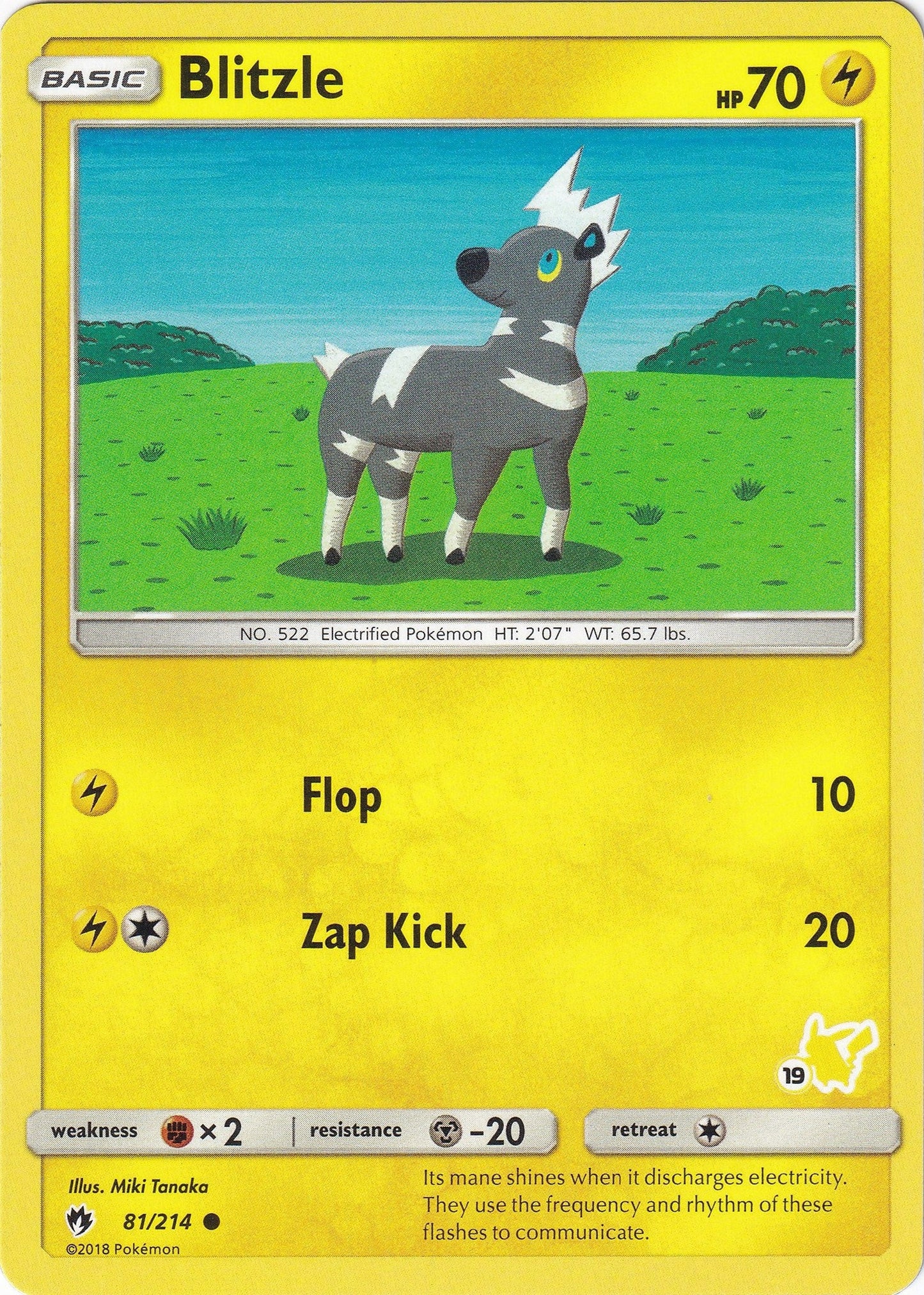 Blitzle - 81/214 (#19 Pikachu Stamped) (081/214) (Battle Academy) (BTA)