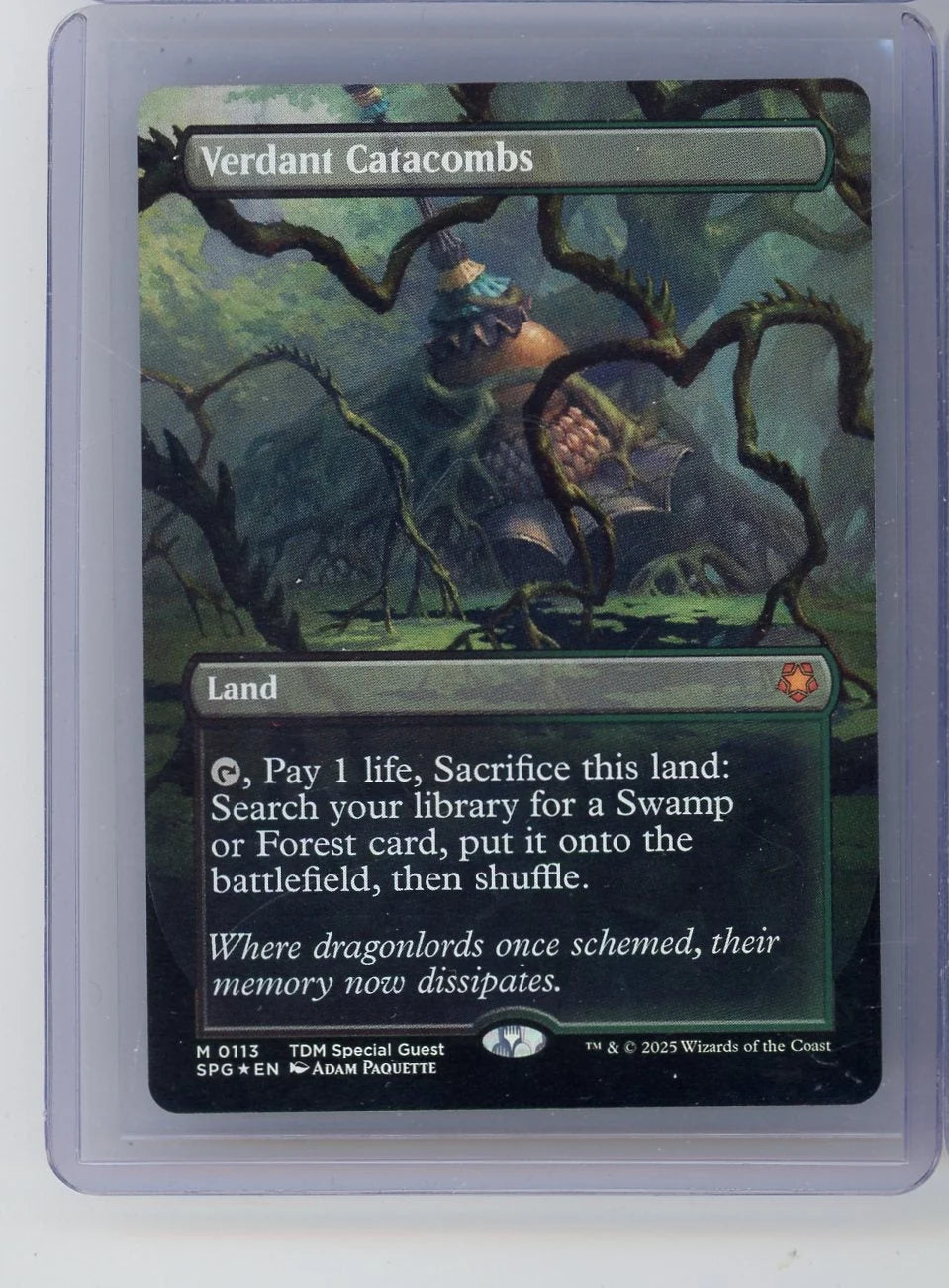 Verdant Catacombs Magic the Gathering Special Guest #0113