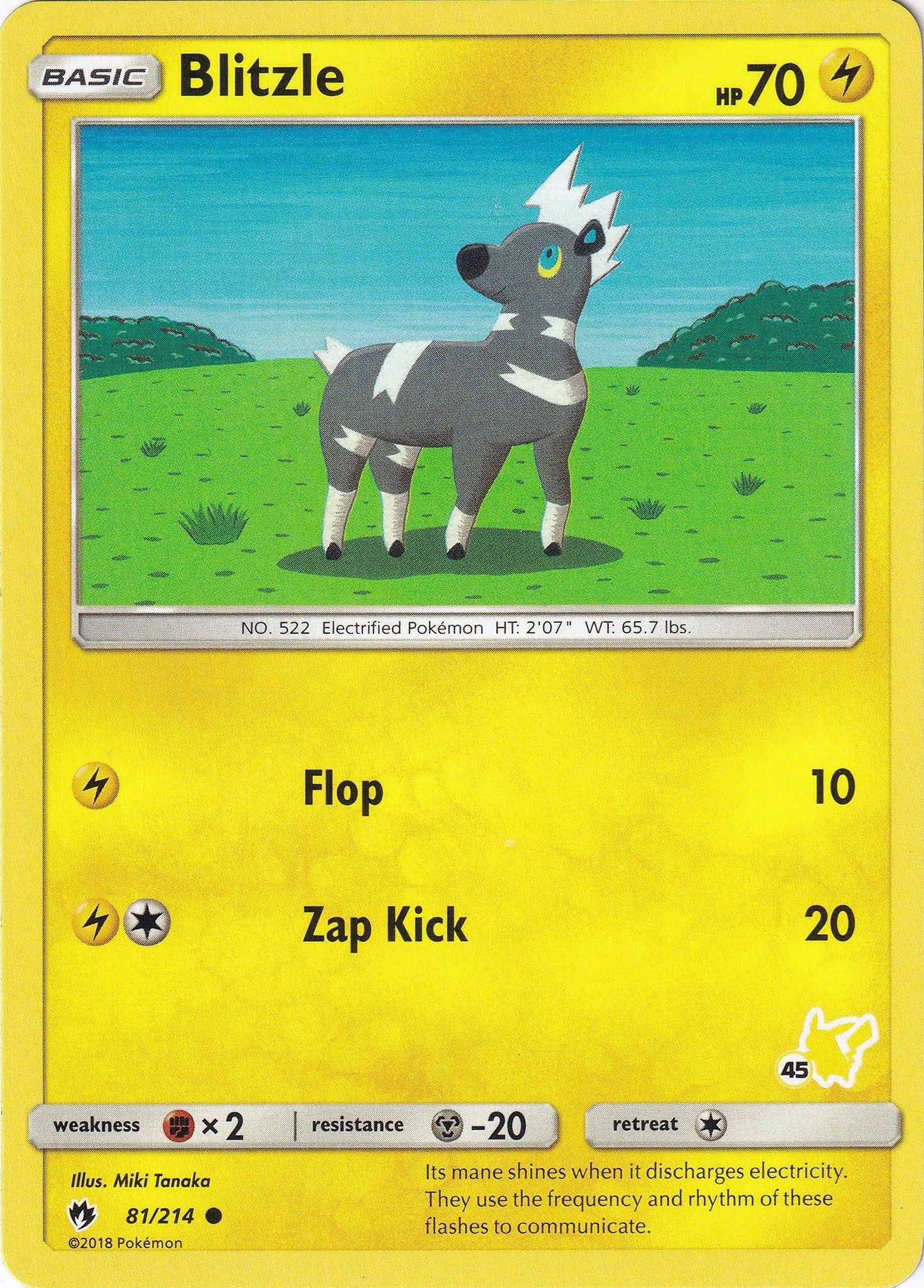 Blitzle - 81/214 (#45 Pikachu Stamped) (081/214) (Battle Academy) (BTA)