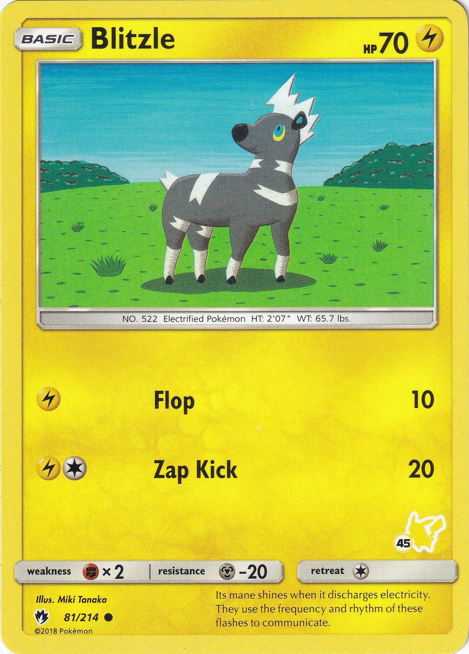 Blitzle - 81/214 (#45 Pikachu Stamped) (081/214) (Battle Academy) (BTA)