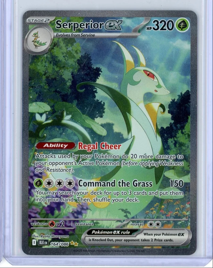 Serperior ex Pokémon Black Bolt Special Illustration Rare #164/086