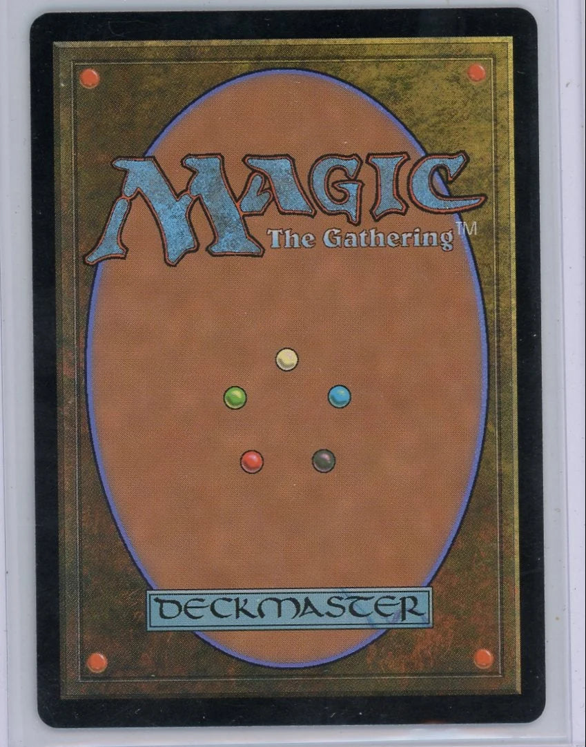 Parallel Lives Magic the Gathering Wilds of Eldraine #0058