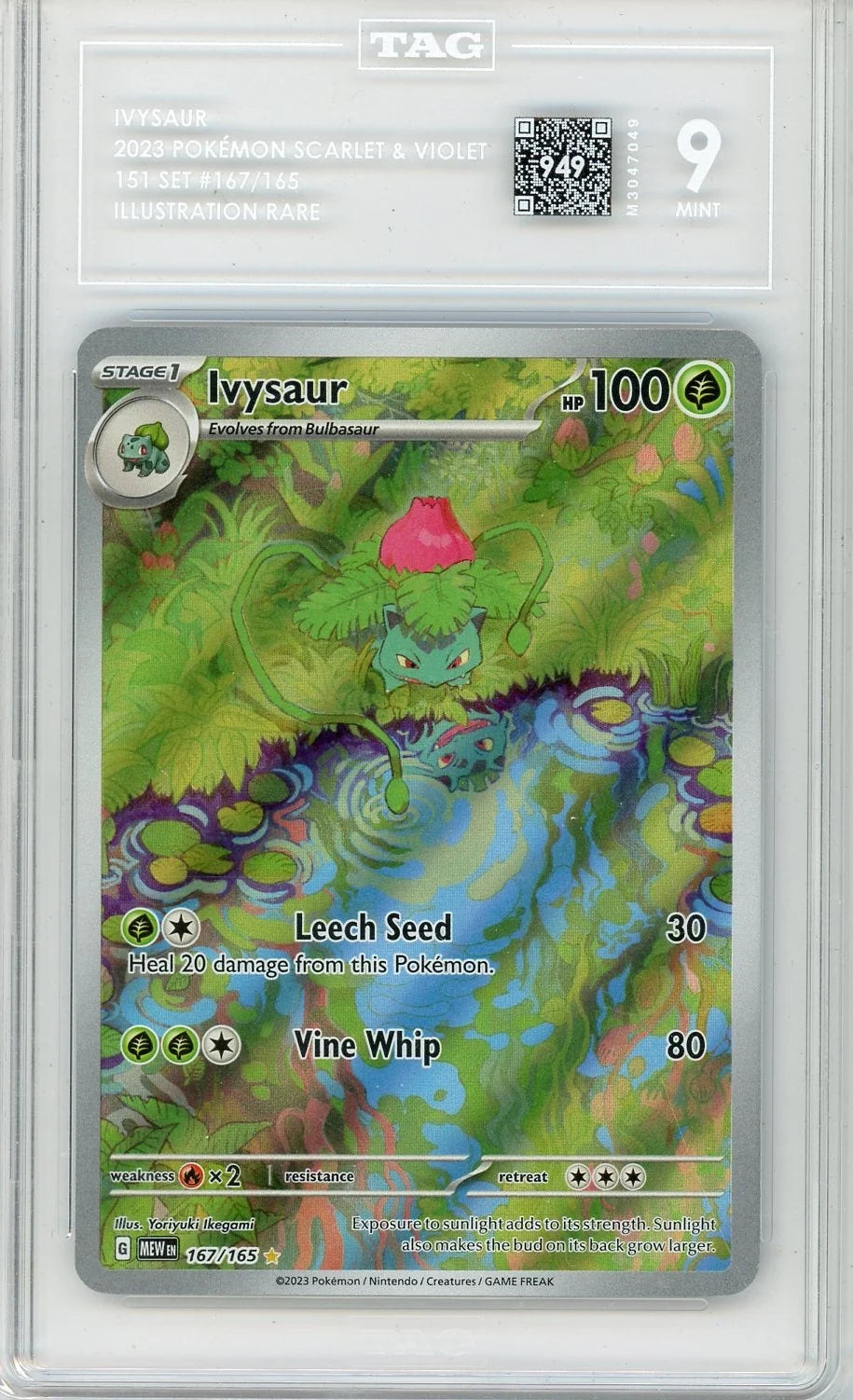 Ivysaur Pokémon 151 Illustration Rare #167/165 TAG 9