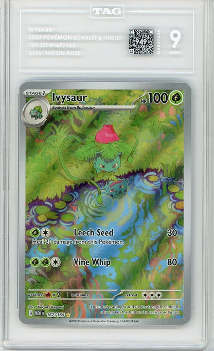 Ivysaur Pokémon 151 Illustration Rare #167/165 TAG 9