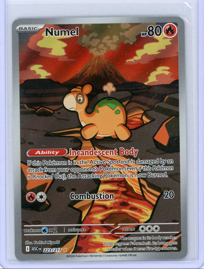 Numel 2026 Pokémon Ascended Heroes Illustration rare #223/217