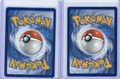 Pikachu V 2021 Pokemon Black Star Promo 2-card lot #SWSH061 + SWSH285
