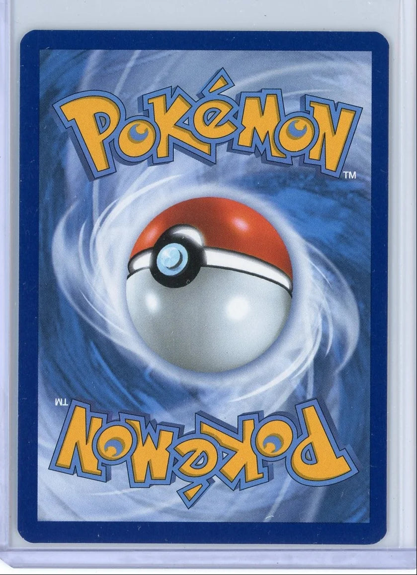 Riolu Pokémon Mega Evolution Black Star Promo #010