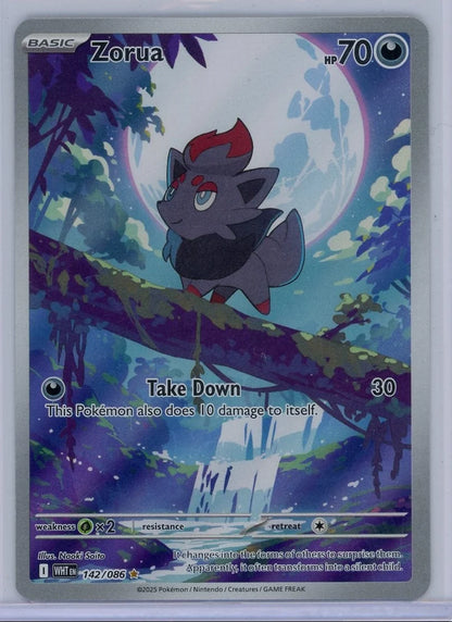 Zorua Pokémon White Flare Illustration Rare #142/086
