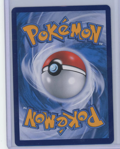 Flareon ex Pokémon Chinese Terastal Gathering Special Art Rare #223/208