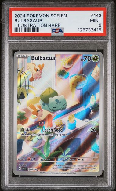 Bulbasaur 2024 Pokemon Stellar Crown Illustration rare #143/142 PSA 9