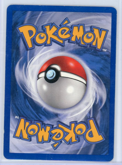 Teddiursa Pokemon Skyridge #109/144