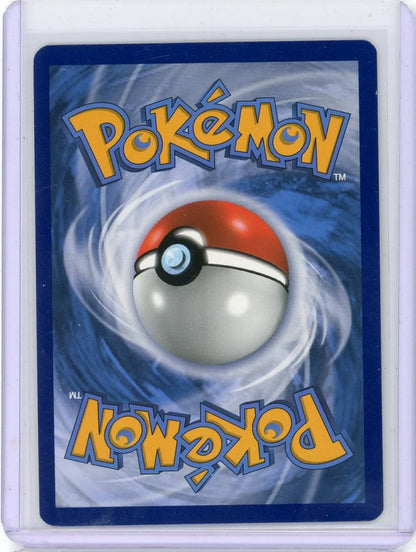 Special Delivery Bidoof Pokemon Black Star Promo #SWSH177 NM