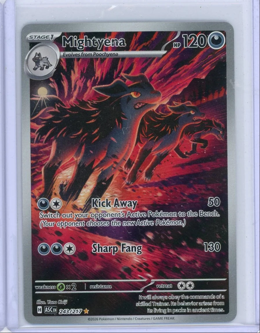 Mightyena Pokemon Ascended Heroes Illustration Rare 243/217