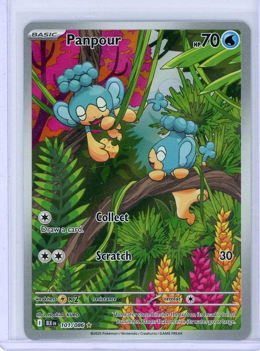 Panpour Pokémon Black Bolt Illustration Rare #101/086