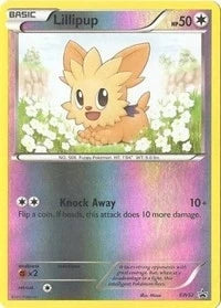 Lillipup - BW52 (BW52) (Black and White Promos) (PR)