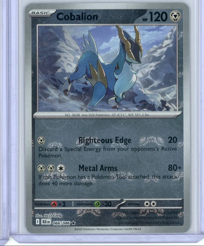 Cobalion Pokémon Black Bolt Master Ball Holo #066/086