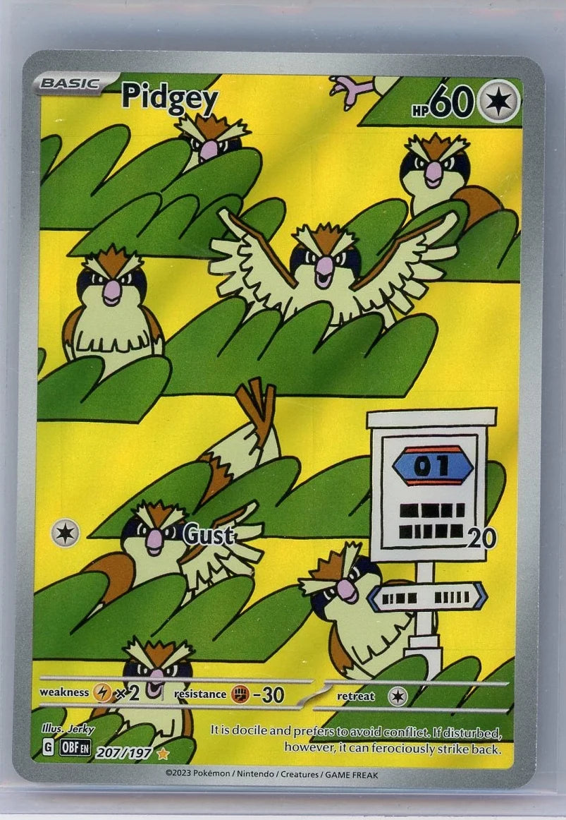 Pidgey Pokemon Obsidian Flames Illustration Rare #207/197