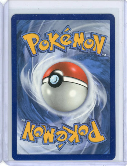 Riolu 2019 Pokémon Hidden Fates Shiny Holo Rare #SV21/SV94