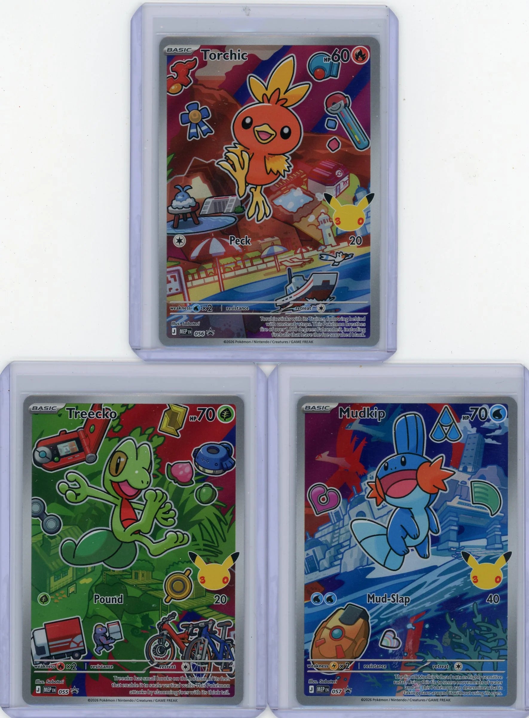 Mudkip/ Torchic/ Treecko Pokémon First Partner Illustration Collection Set