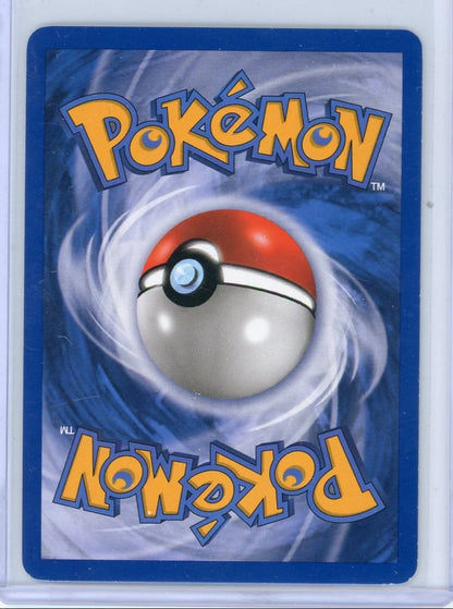 Pachirisu Pokémon Diamond & Pearl Promo #DP04