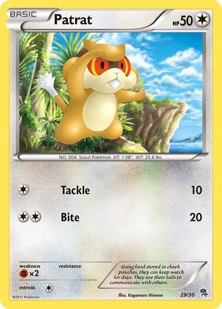 Patrat (#29) (29/30) (BW Trainer Kit: Excadrill & Zoroark) (BLW)